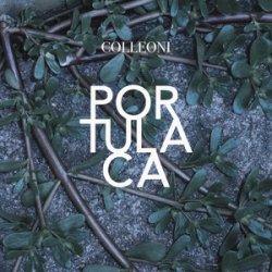 Colleoni - Sinonimi E Contrari Colleoni - Sinonimi E Contrari