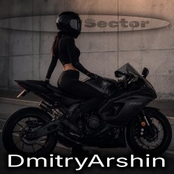 DmitryArshin - SECTOR DmitryArshin - SECTOR