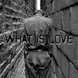Обкладинка der Flaum - What is love