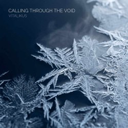 Обкладинка ViTaLiKuS - Calling Through the Void