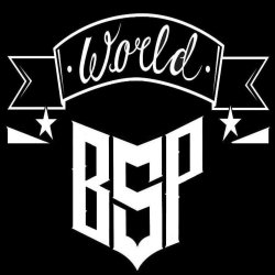 Cover BSP - ПРАВДА КАК ЕСТЬ