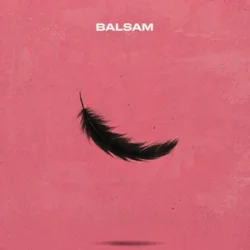 Обкладинка Balsam - Я, падаю в тебе Мʼяко