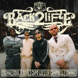 Обкладинка Sigma & Soul II Soul & Capo Lee & Zimma - BACK 2 LIFE (feat. Liv Campbell)