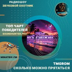 Cover TMGrom - Сколько можно прятаться (soundhunter.pro)