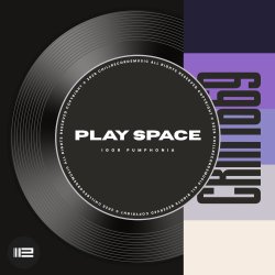 Обкладинка Igor Pumphonia - Play Space