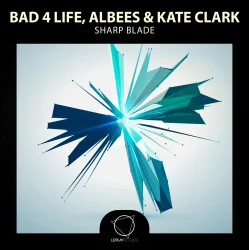 Cover Bad 4 Life - The Art Of Falling In Love