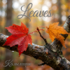 Обкладинка Калымщик - Leaves Калымщик - Leaves