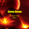 Обкладинка Sunny Bunny - The Best of Ryan Ganar! Sunny Bunny - The Best of Ryan Ganar!