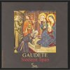 Обкладинка Steeleye Span - Gaudete Steeleye Span - Gaudete