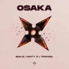 Обкладинка BEAUZ & Party Pi & triangel - OSAKA BEAUZ & Party Pi & triangel - OSAKA