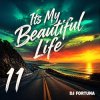 Обкладинка DJ FORTUNA - Its My Beautiful Life 11 DJ FORTUNA - Its My Beautiful Life 11