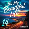 Обкладинка DJ FORTUNA - Its My Beautiful Life 14 DJ FORTUNA - Its My Beautiful Life 14