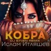 Обкладинка Ислам Итляшев - Кобра (DJ S7ven Radio Edit) Ислам Итляшев - Кобра (DJ S7ven Radio Edit)