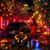 Обкладинка DJ KAIFAR - В садах DJ KAIFAR - В садах