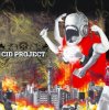 CID Project - Choque