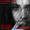 Dj Phoenix Project - [MT&HV47]Melodic Techno&House Vibes vol.47