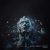 Cover ViTaLiKuS - Awakened State