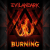 Обкладинка EvilanDark - Burning