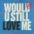 Обкладинка Diplo & Cameron Whitcomb - Would U Still Love Me (Lost Frequencies Remix)