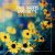 Cover Paul Harris, Dragonette - One Night Lover (Nora En Pure Instrumental Club Mix)