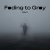 Обкладинка Alex K - Fading to Gray
