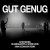 Cover KITSCHKRIEG, Blumengarten & Shirin David - Gut Genug (Dima Deemassin Remix)
