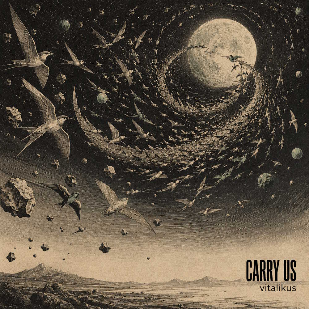  ViTaLiKuS - Carry Us