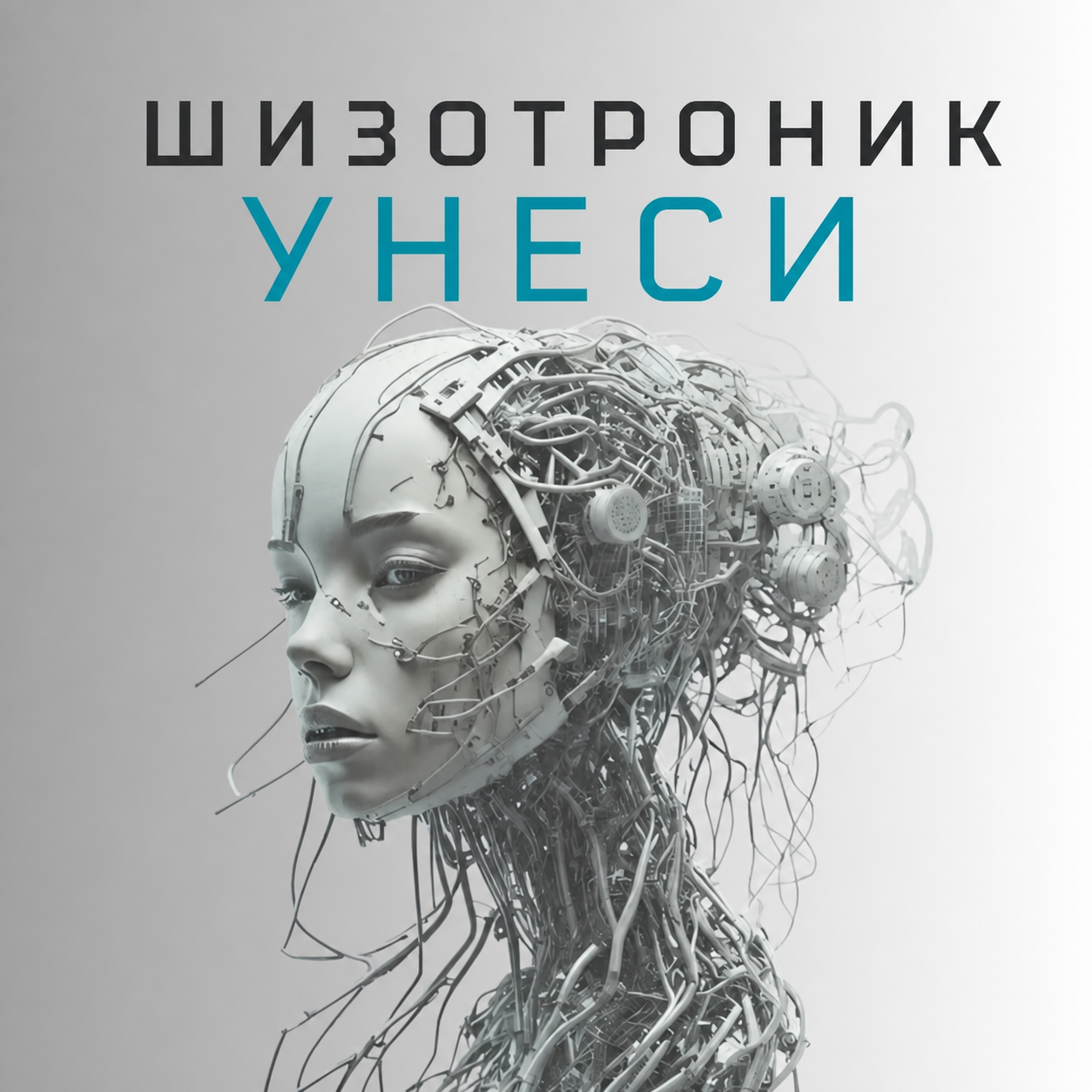  La-RUS ака Шизотроник - Унеси
