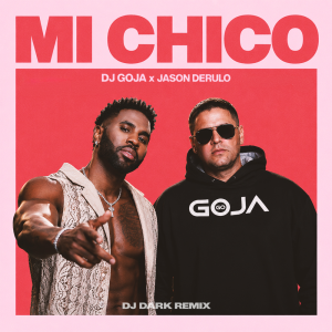  Dj Goja & Jason Derulo - Mi Chico (Dj Dark Remix)