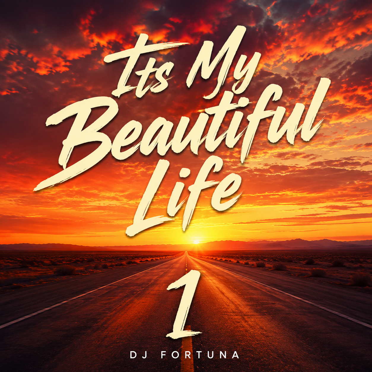  DJ FORTUNA - Its My Beautiful Life 1