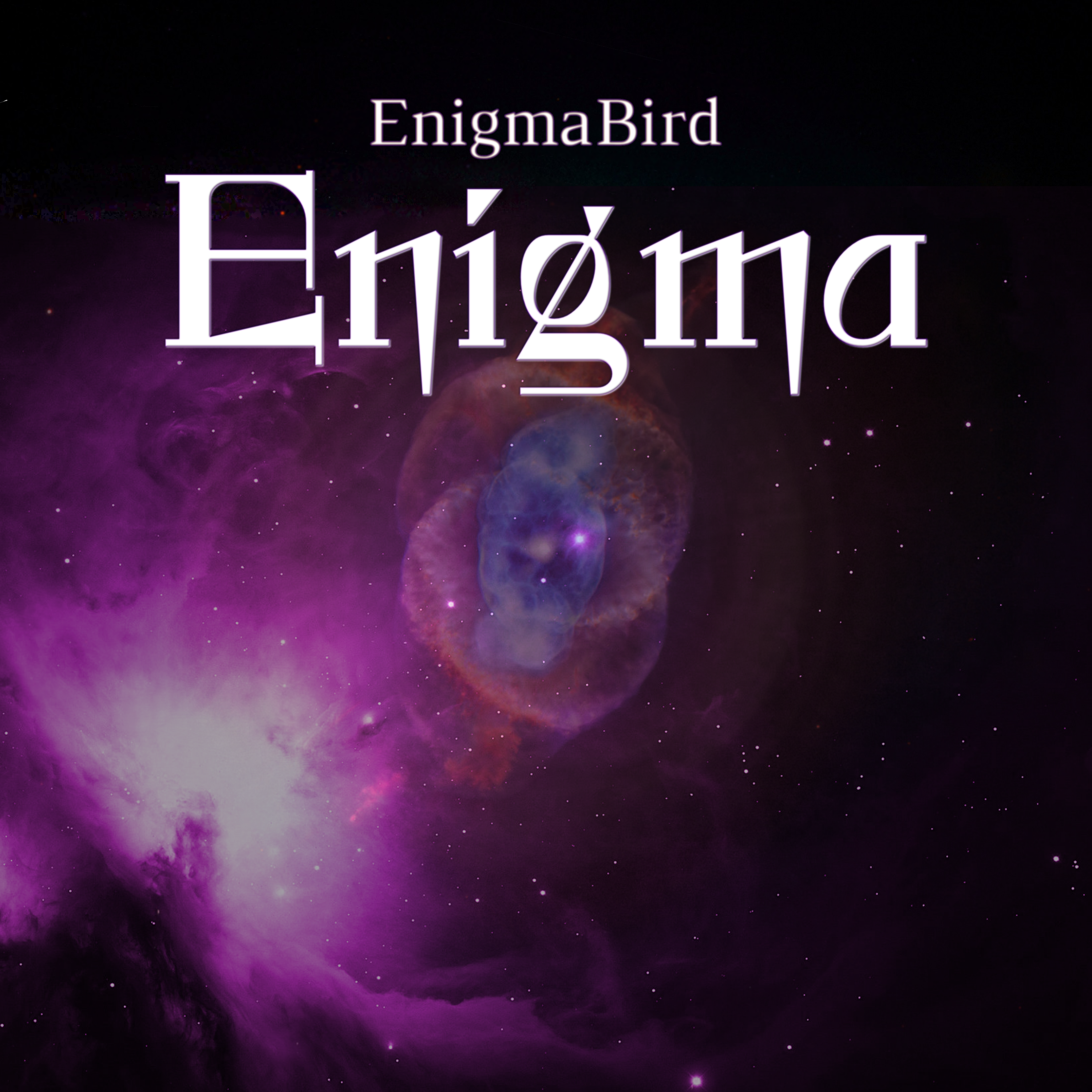  EnigmaBird - Enigma
