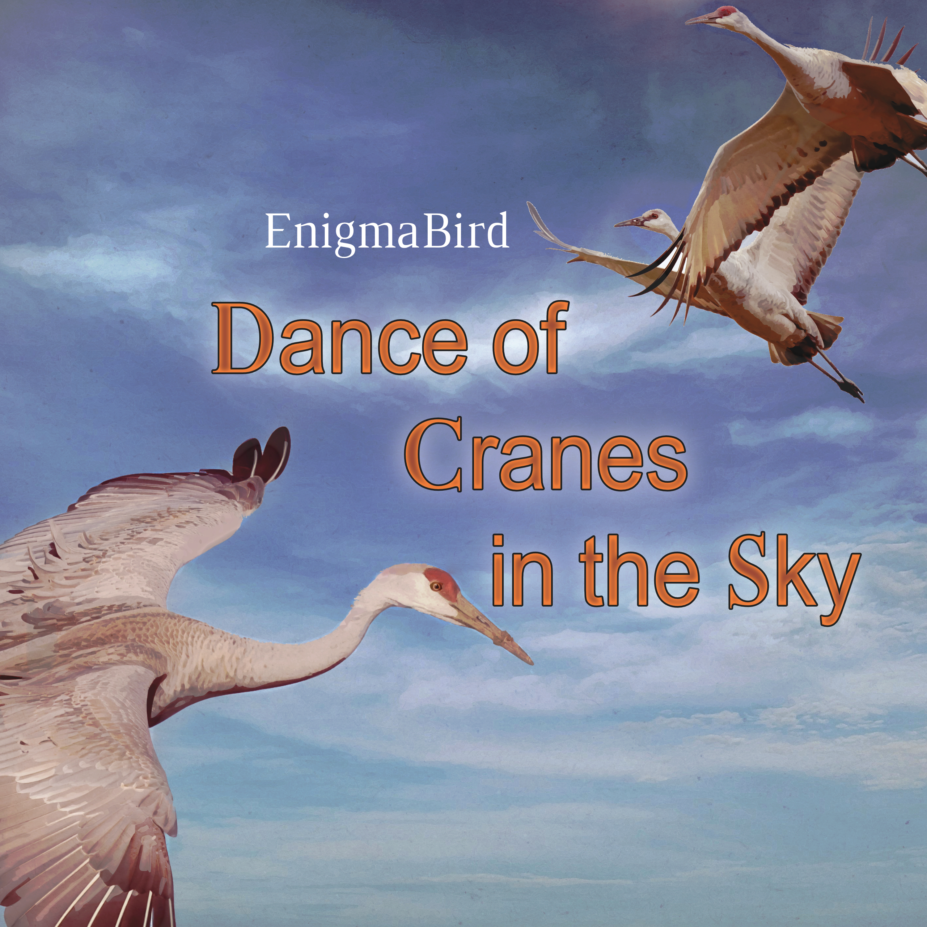  EnigmaBird - Dance of Cranes in the Sky