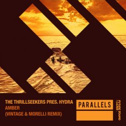 Обкладинка The Thrillseekers pres. Hydra - Amber (Extended Mix)