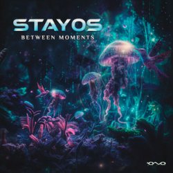 Обкладинка Stayos - Tov Li (Original Mix)