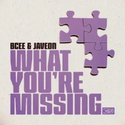 Обкладинка BCee & Javeon - What You're Missing