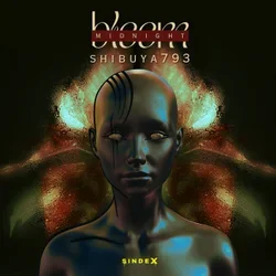 Обкладинка Shibuya793 - New Moon