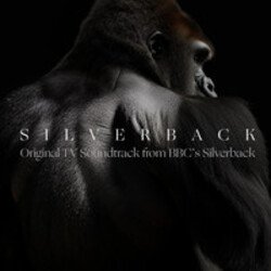 Обкладинка Silverback - Aventador
