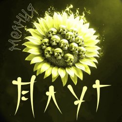 ������