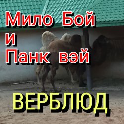 ���� ��� - " ������� "