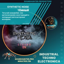 Synthetic Noise - Ҹ����