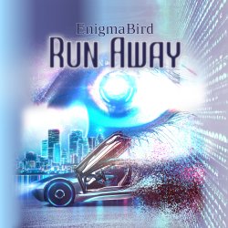 Обкладинка EnigmaBird - Run Away