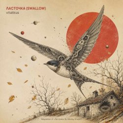 Cover ViTaLiKuS - Ласточка (Swallow)