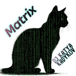 DJ Katya Kadykov - Matrix (minatrix_edition) DJ Katya Kadykov - Matrix (minatrix_edition)