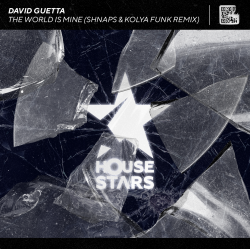 Cover David Guetta - The World Is Mine (Shnaps & Kolya Funk Remix)
