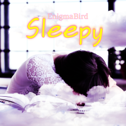 EnigmaBird - Sleepy EnigmaBird - Sleepy