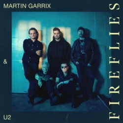 Cover Martin Garrix & U2 - Fireflies