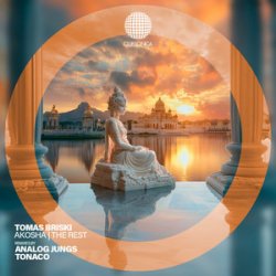 Cover Tomas Briski - Mirrors on the Ceiling
