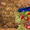Обкладинка Червона калина - Ой служив же я у пана Червона калина - Ой служив же я у пана