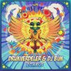 Drukverdeler & DJ Bim - Icarus (Original Mix)