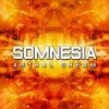 Cover Somnesia - Light Particles (Somnesia Remix) Somnesia - Light Particles (Somnesia Remix)